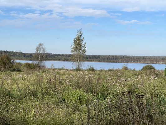 Продам участок 14,6 соток, Садоводство, Клубный поселок Савельево тер. ДНТ, 0 км от города