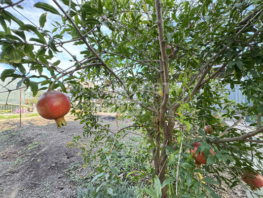 Продам дом, Краснодарская ул, Славянск-на-Кубани г, 0 км от города