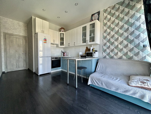 Продам однокомнатную (1-комн.) квартиру, Парк А ул, 95, Новороссийск г