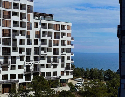 Продам однокомнатную (1-комн.) квартиру, Им. Профессора Свиргуненко ул, 1, Семидворье п