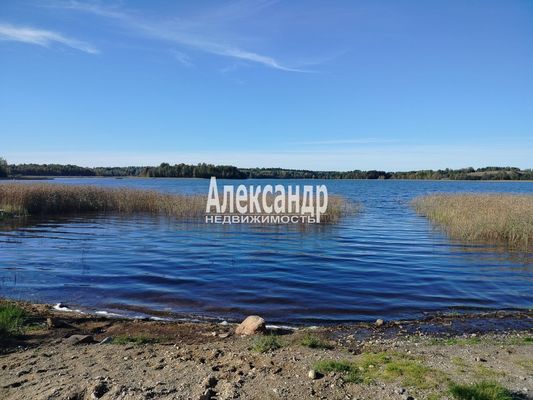 Продам участок 10 соток, ЛПХ, Заозерная ул, Райвио п, 200 км от города