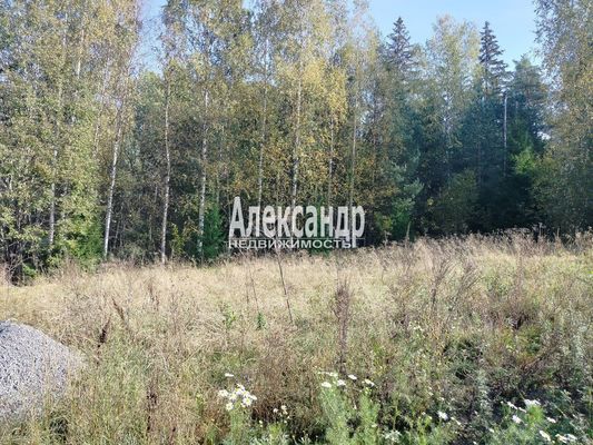 Продам участок 10 соток, ЛПХ, Заозерная ул, Райвио п, 200 км от города