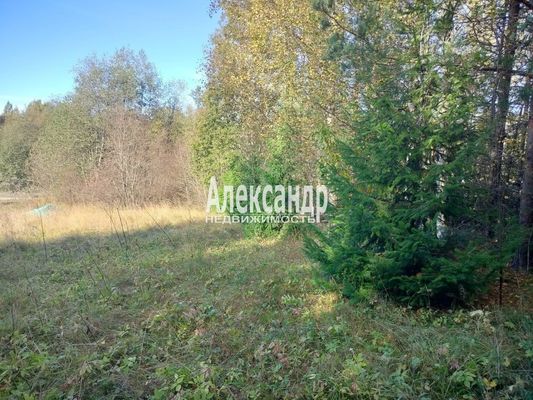 Продам участок 10 соток, ЛПХ, Заозерная ул, Райвио п, 200 км от города