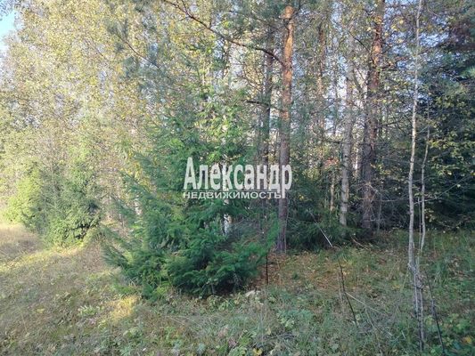 Продам участок 10 соток, ЛПХ, Заозерная ул, Райвио п, 200 км от города