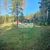 Продам участок 10 соток, ЛПХ, Заозерная ул, Райвио п, 200 км от города
