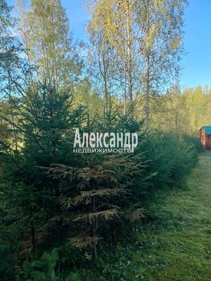 Продам участок 10 соток, ЛПХ, Заозерная ул, Райвио п, 200 км от города