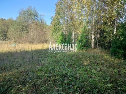 Продам участок 10 соток, ЛПХ, Заозерная ул, Райвио п, 200 км от города