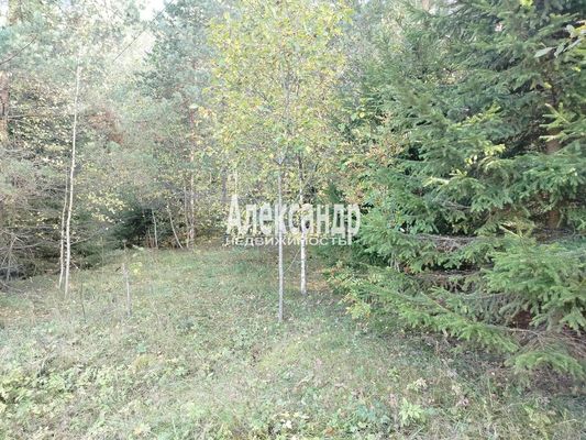 Продам участок 10 соток, ЛПХ, Заозерная ул, Райвио п, 200 км от города