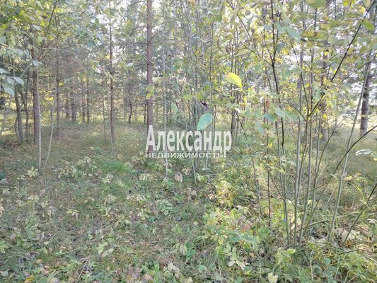 Продам участок 10 соток, ЛПХ, Заозерная ул, Райвио п, 200 км от города