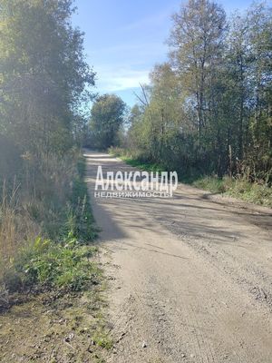 Продам участок 10 соток, ЛПХ, Заозерная ул, Райвио п, 200 км от города