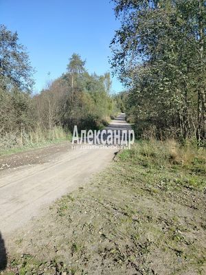 Продам участок 10 соток, ЛПХ, Заозерная ул, Райвио п, 200 км от города