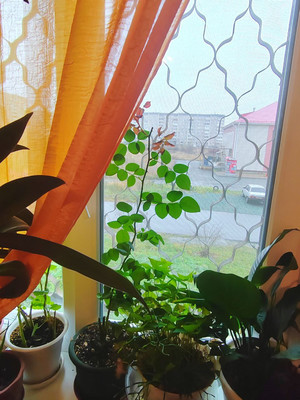 Продам трехкомнатную (3-комн.) квартиру, Алтайская ул, 25, Нижний Тагил г