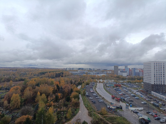 Продам двухкомнатную (2-комн.) квартиру, Куприна пр-кт, 7к1, Сосенское п