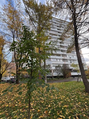 Продам двухкомнатную (2-комн.) квартиру, Стратонавтов проезд, 16к1, Москва г