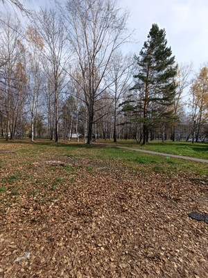 Продам однокомнатную (1-комн.) квартиру, Строителей ул, 29, Солнечный рп