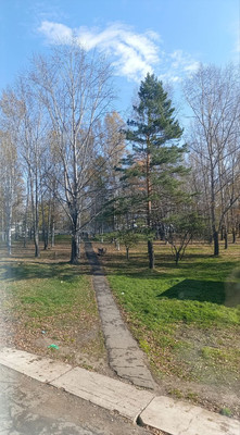 Продам однокомнатную (1-комн.) квартиру, Строителей ул, 29, Солнечный рп