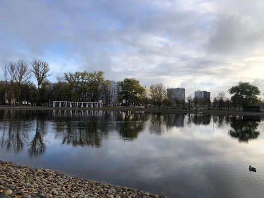 Сдам однокомнатную (1-комн.) квартиру, Черского проезд, 11, Москва г