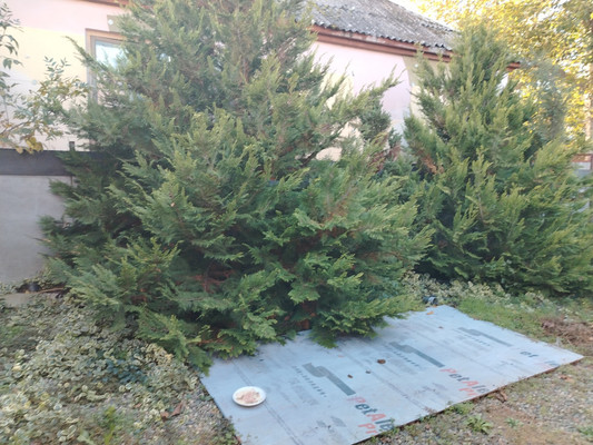Продам дом, Яровая ул, 8, Белореченск г, 0 км от города