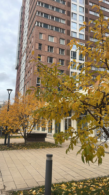Продам однокомнатную (1-комн.) квартиру, Рязанский пр-кт, 2/1к2, Москва г