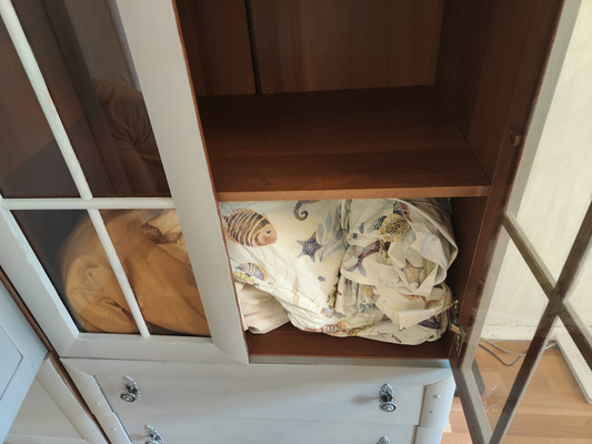 Сдам однокомнатную (1-комн.) квартиру, Загородный пр-кт, 26А, Санкт-Петербург г