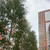 Продам однокомнатную (1-комн.) квартиру, Рязанский пр-кт, 2/1к2, Москва г
