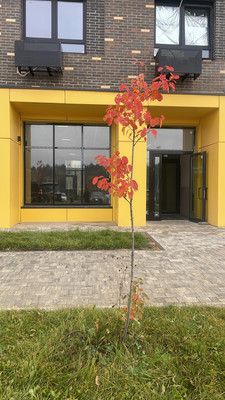 Продам двухкомнатную (2-комн.) квартиру, 1к1, Юрлово д