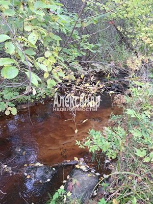 Продам участок 24,62 соток, ЛПХ, Кутузовское п, 130 км от города