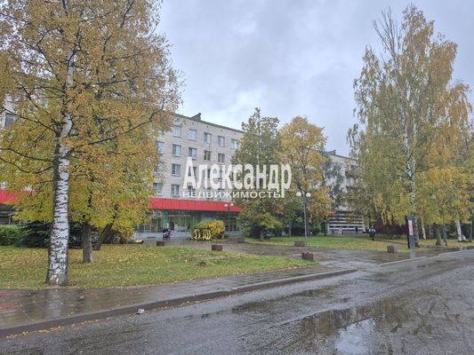 Продам двухкомнатную (2-комн.) квартиру, Невская ул, 4, Отрадное г