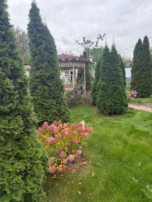 Продам дом, 50, Петровское д, 0 км от города