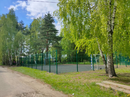 Продам дом, 50, Петровское д, 0 км от города