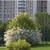 Продам многокомнатную квартиру, Маршала Захарова ул, 6к3, Москва г