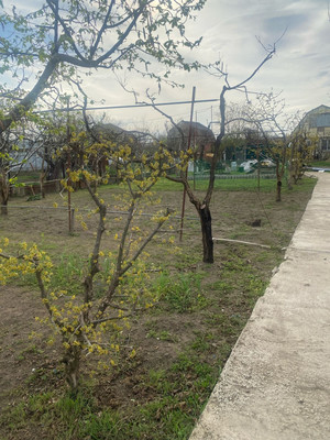 Продам участок 10 соток, ИЖС, Строитель-2 снт, 136, Армавир г, 0 км от города