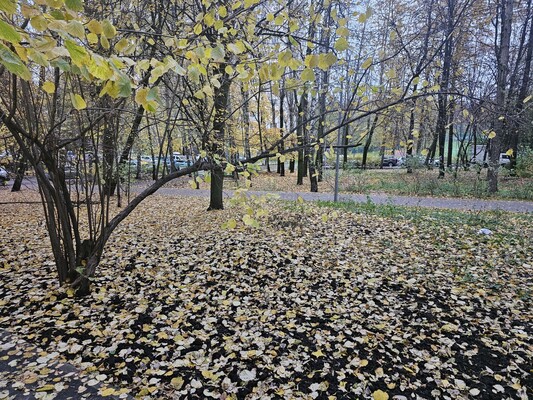 Продам двухкомнатную (2-комн.) квартиру, Херсонская ул, 33, Москва г