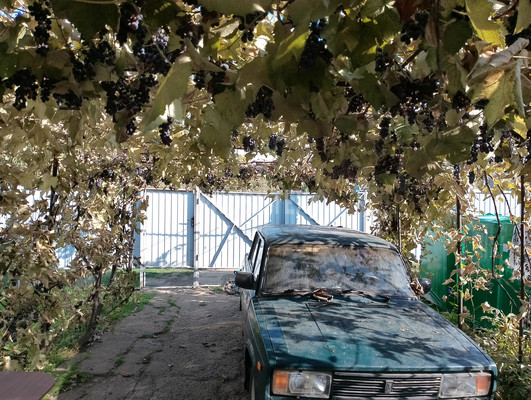 Продам дом, Тракторная ул, 59, Каневская ст-ца, 0 км от города