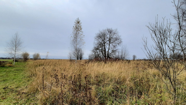 Продам участок 33 соток, ИЖС, Поланур ул, Поланур д, 0 км от города