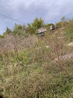 Продам участок 50 соток, ИЖС, Армавирская ул, Высокий п, 0 км от города