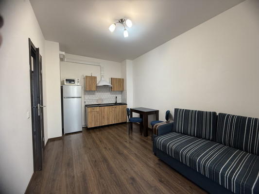 Сдам однокомнатную (1-комн.) квартиру, Кузнецовская ул, 58к1, Санкт-Петербург г