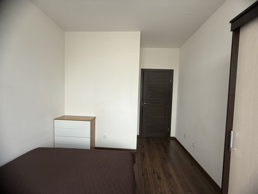 Сдам однокомнатную (1-комн.) квартиру, Кузнецовская ул, 58к1, Санкт-Петербург г