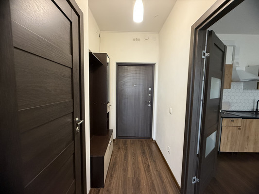 Сдам однокомнатную (1-комн.) квартиру, Кузнецовская ул, 58к1, Санкт-Петербург г