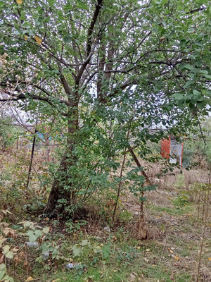 Продам дом, Некрасова ул, Майкоп г, 0 км от города