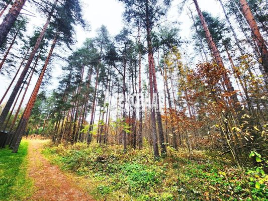 Продам участок 25 соток, ИЖС, Связи ул, Сосново п, 60 км от города