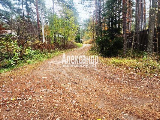 Продам участок 25 соток, ИЖС, Связи ул, Сосново п, 60 км от города