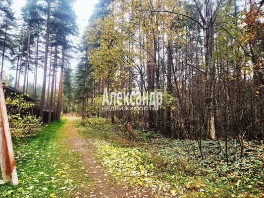 Продам участок 25 соток, ИЖС, Связи ул, Сосново п, 60 км от города