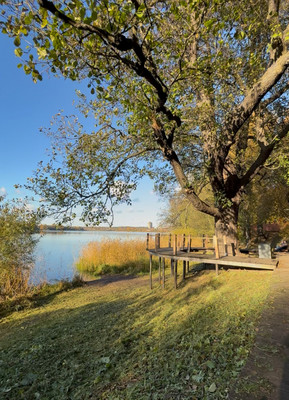 Продам однокомнатную (1-комн.) квартиру, Береговая (Шувалово тер.) ул, 6, Санкт-Петербург г