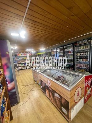 Сдам торговое помещение 50,1 м2, 3-я линия, 44А, Виза тер. СНТ