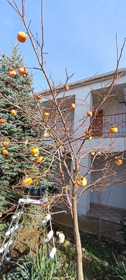 Продам коммерческое помещение 1 050 м2, Маячная ул, 5, Николаевка пгт