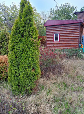 Продам участок 10 соток, Садоводство, Дон сад, Ростов-на-Дону г, 0 км от города