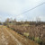 Продам участок 21,5 соток, ИЖС, Благодатная ул, Ягренево с, 0 км от города