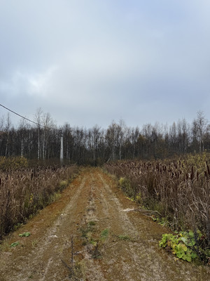 Продам участок 21,5 соток, ИЖС, Благодатная ул, Ягренево с, 0 км от города