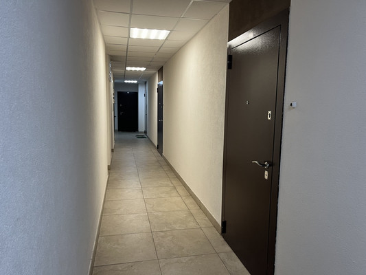 Продам однокомнатную (1-комн.) квартиру, Ветеранов пр-кт, 171к5, Санкт-Петербург г